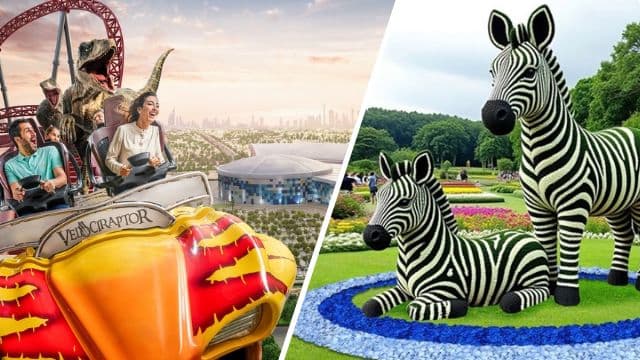 IMG Worlds of Adventure × Glow Garden Combo